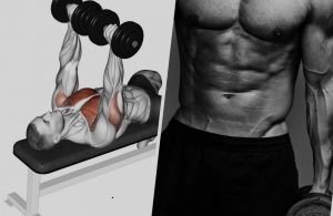 Chest Exercise Workout