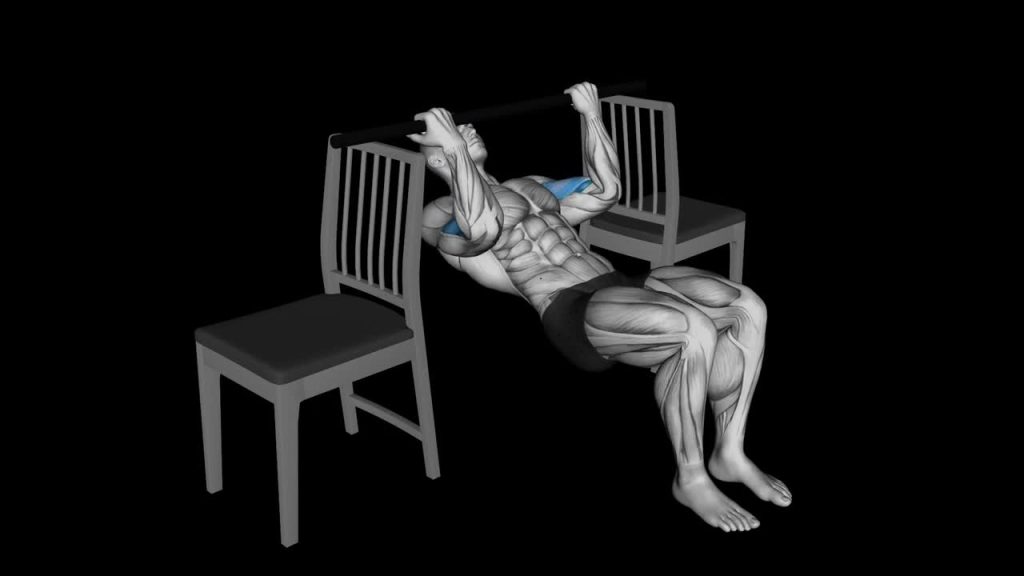 Chair Bicep Curl