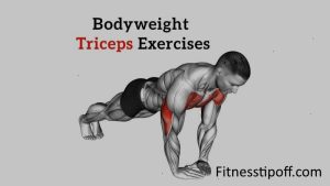 Bodyweight Tricep Exercises
