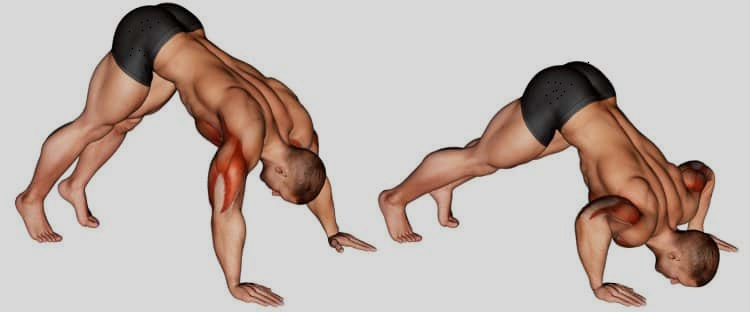 Pike Push-Up Bicep Curl