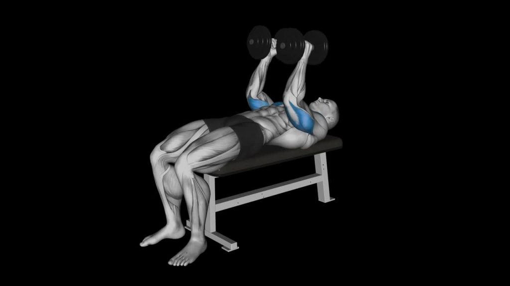 Dumbbell Bench Press